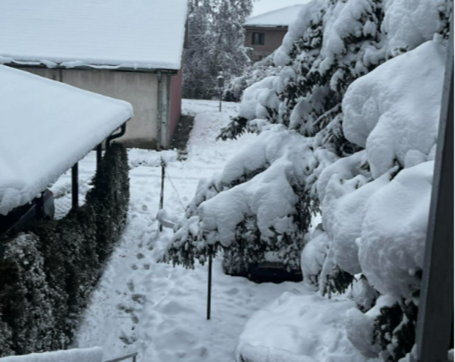 TEK ĆE DA VEJE! STIŽE NAM NOVA TURA SNEGA! Zna se vreme, a do tad - OPASNOST